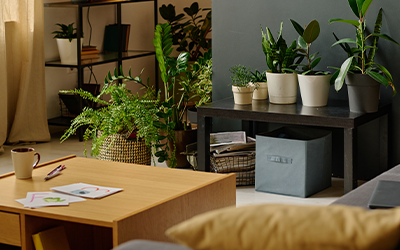 How to prepare for a property survey in Sunderland : Checklist & Tips